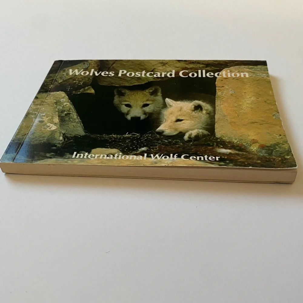 Wolves Postcard Collection Vintage 1990 International Wild Center Set Of  Pics